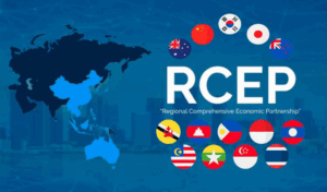 Hướng dẫn chi tiết cách kê khai C/O Form RCEP » ANT VINA Logistics